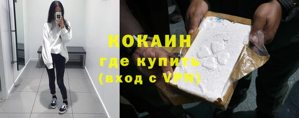 амф Богданович