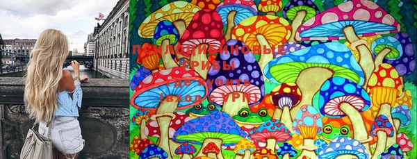 амф Богданович
