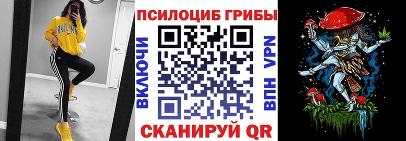 Псилоцибиновые грибы Cubensis купить наркотик Волосово